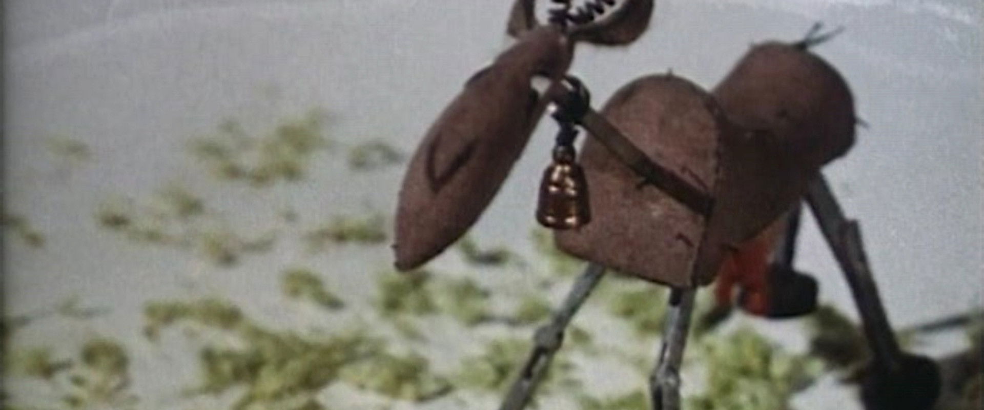 What A Miracle backdrop