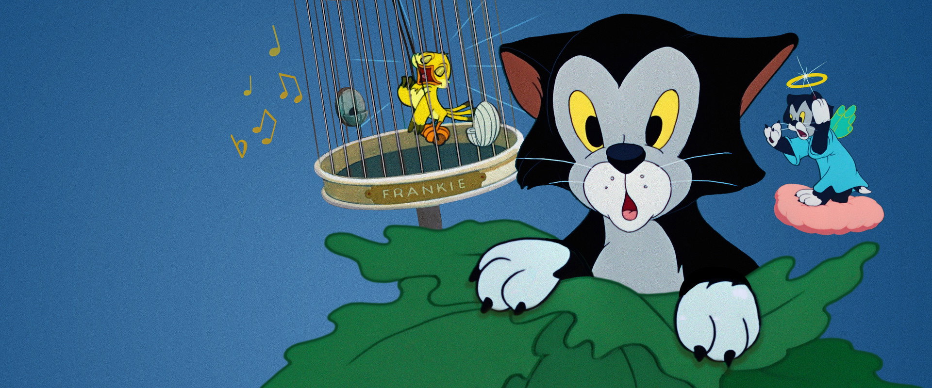 Figaro and Frankie backdrop