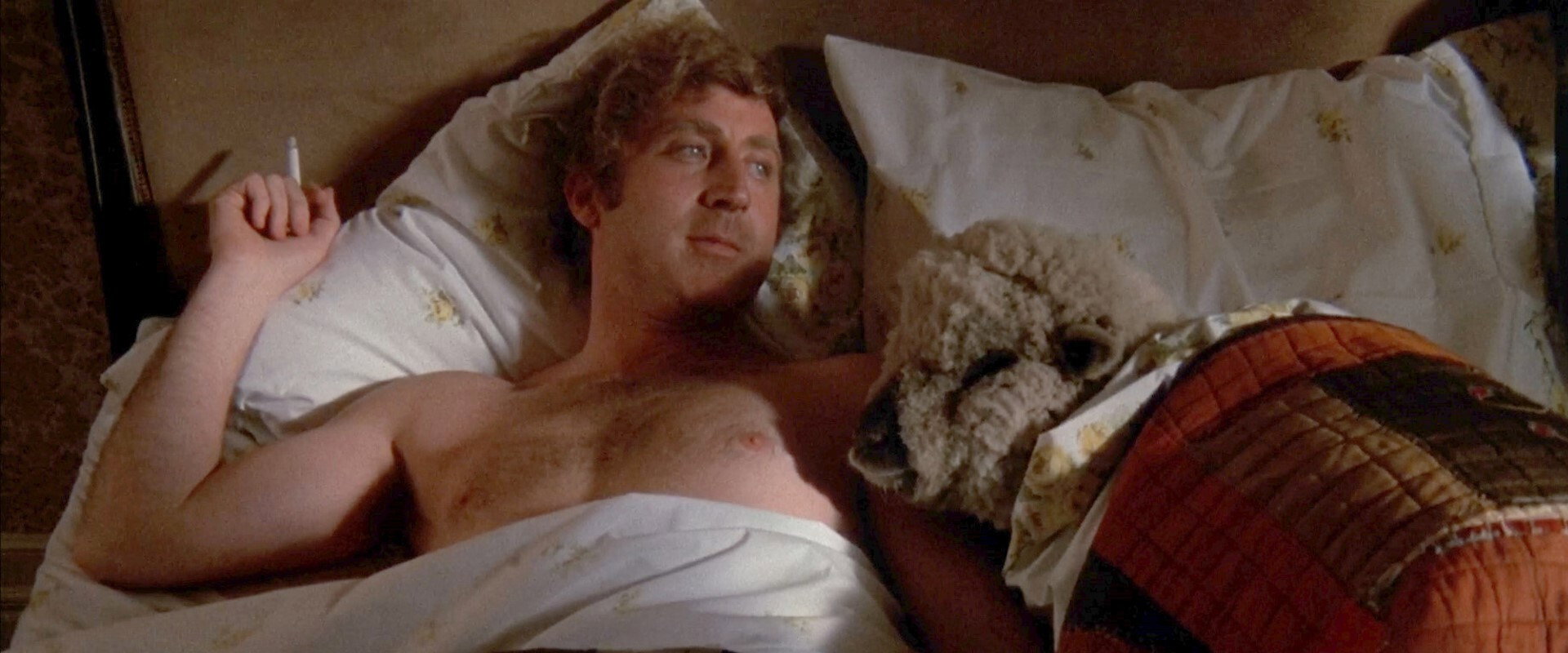 Everything You Always Wanted to Know About Sex *But Were Afraid to Ask backdrop