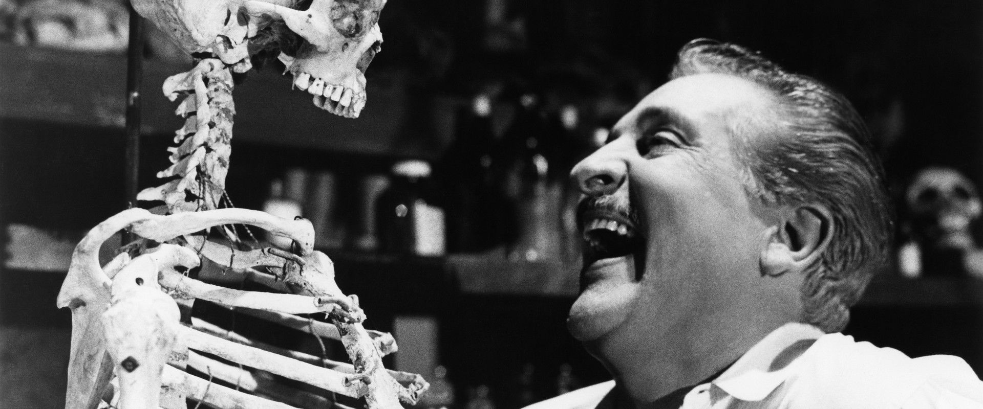 The Skeleton of Mrs. Morales backdrop