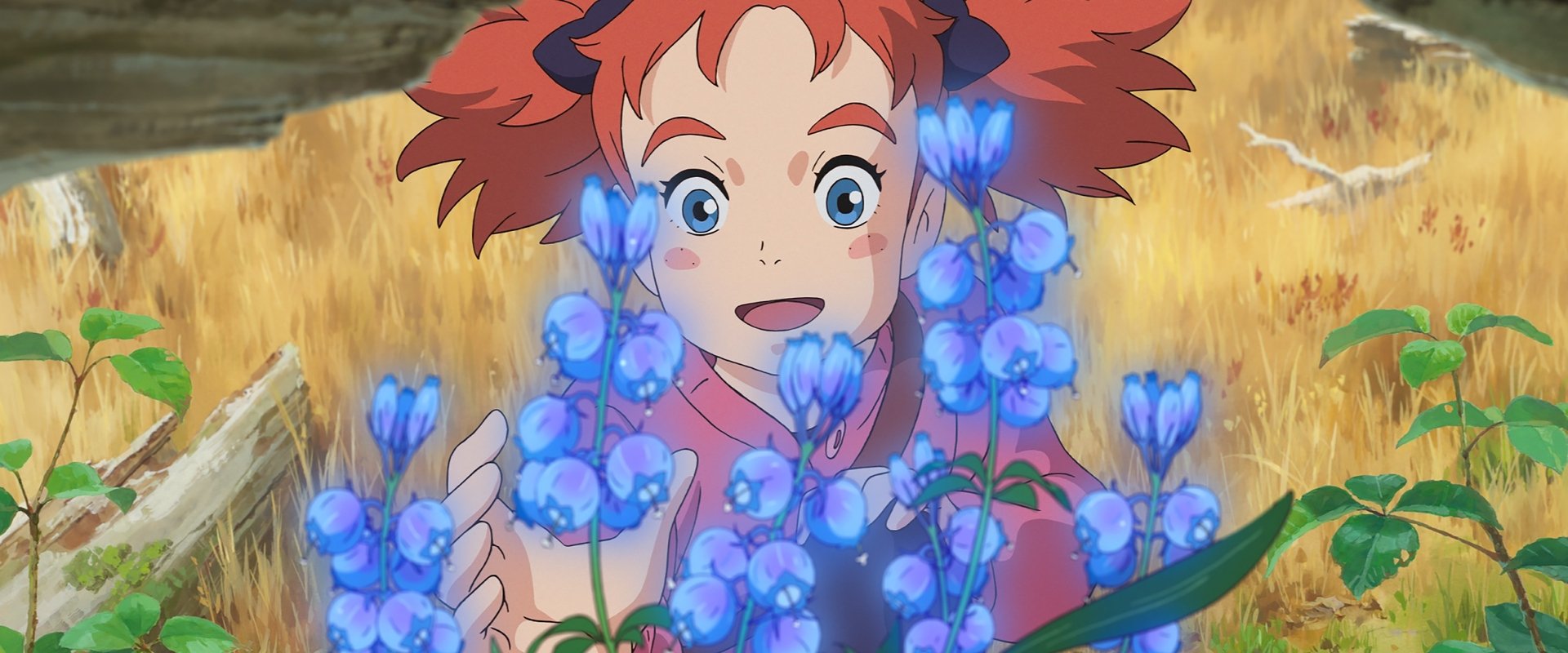 Mary and The Witch's Flower backdrop