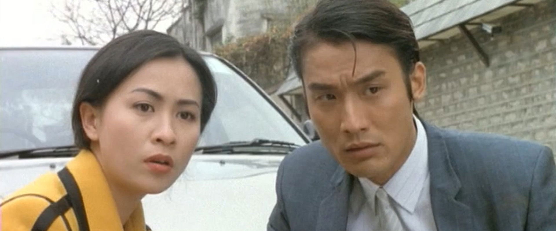 Rose Rose I Love You backdrop