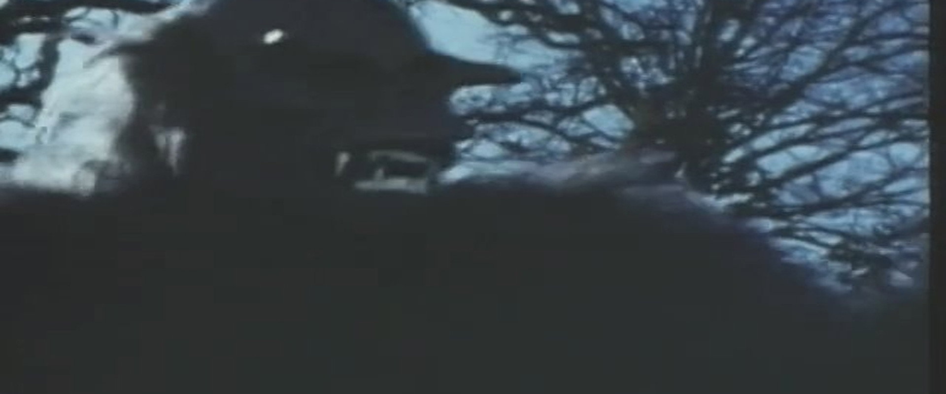 Night Fright backdrop