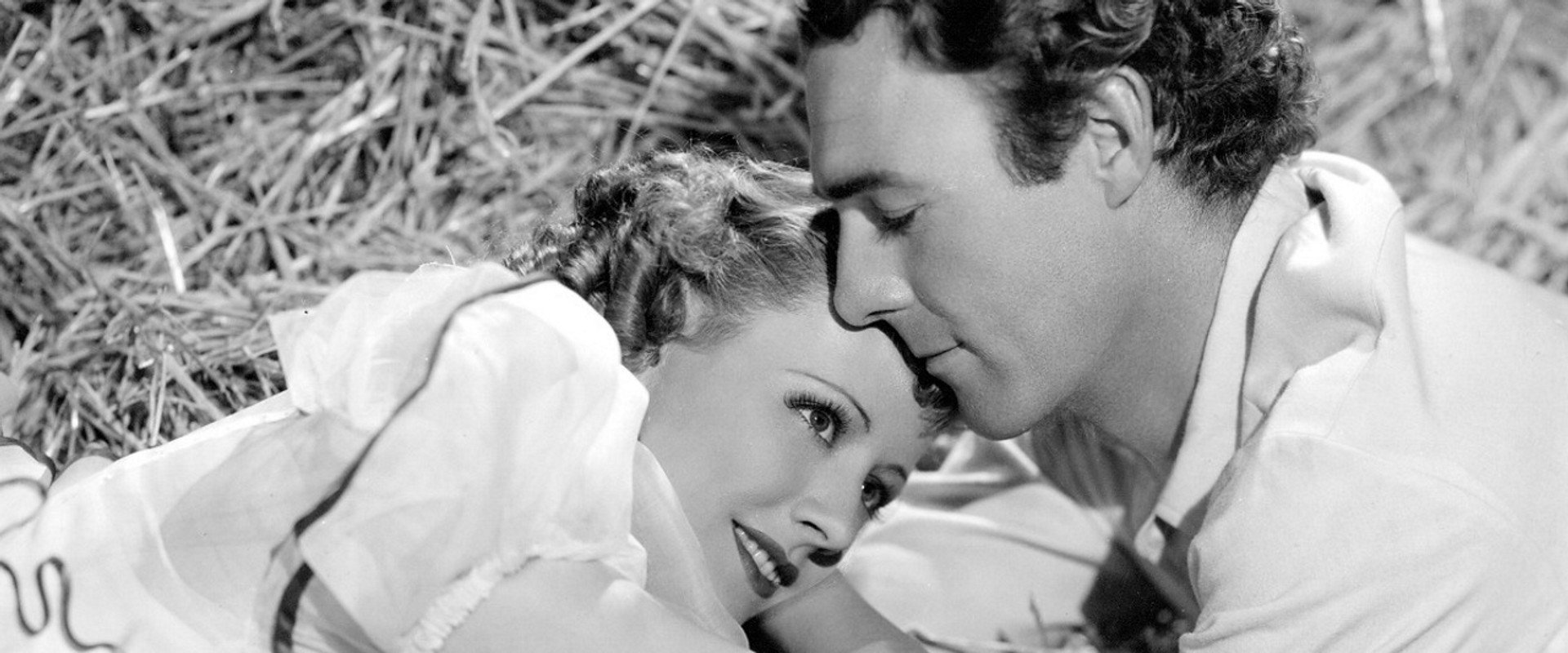 High, Wide and Handsome backdrop