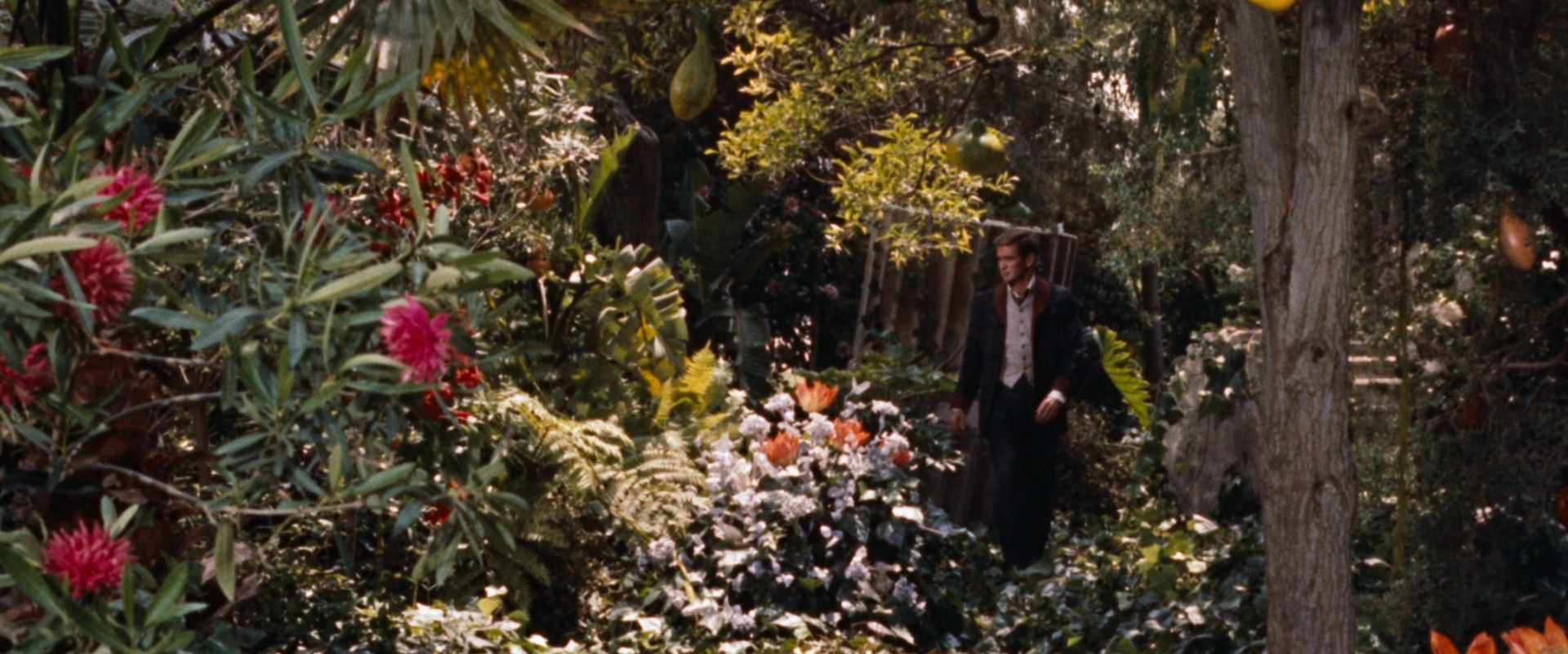 The Time Machine backdrop