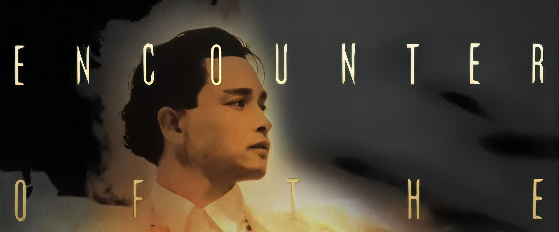 Leslie Cheung: Final Encounter of the Legend backdrop