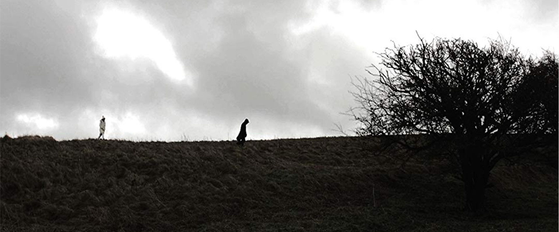 Follow the Crows backdrop