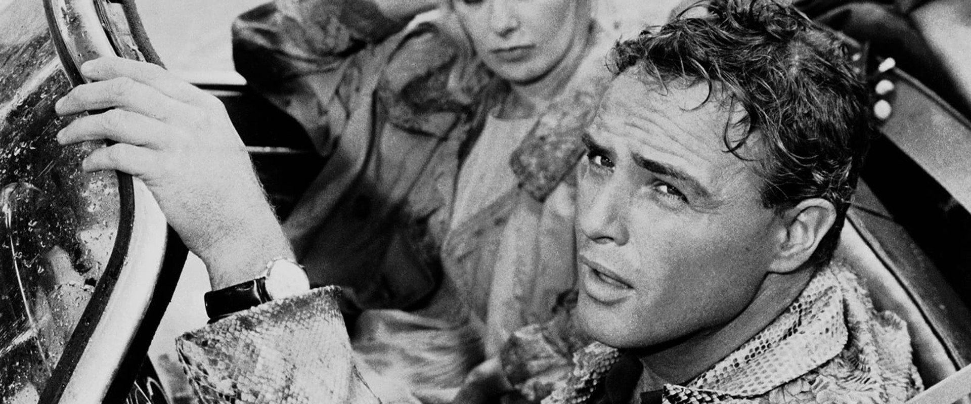 The Fugitive Kind backdrop