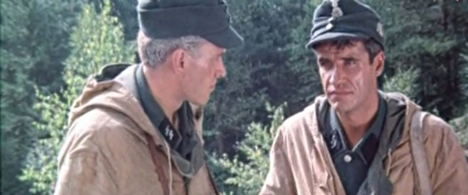 Two steps from "Paradise" backdrop