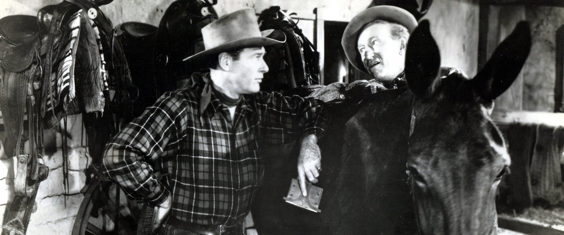 Grand Canyon backdrop