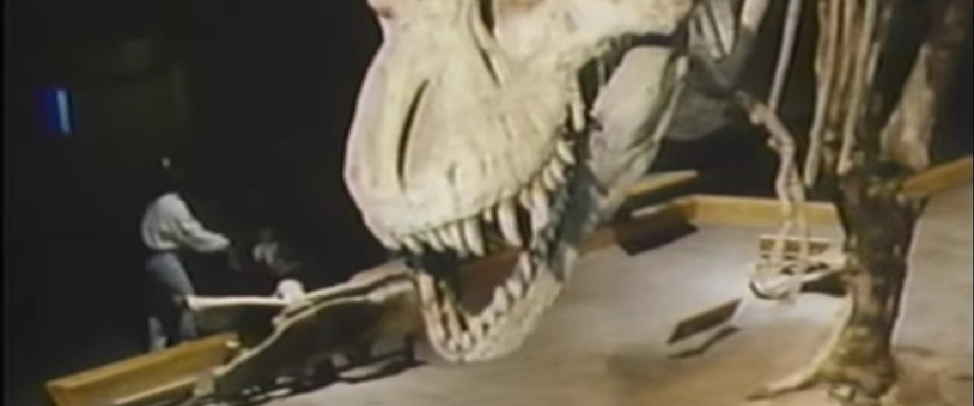 The Real Jurassic Park backdrop