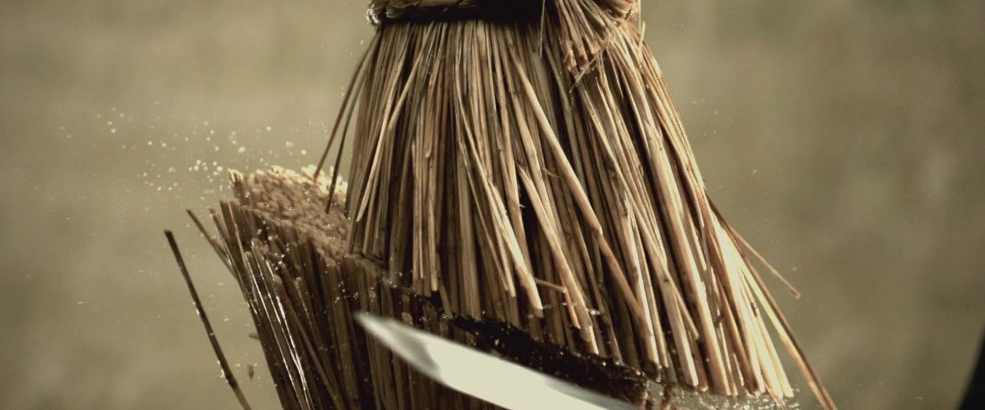 Love or Duty: Samurai Rebellion backdrop