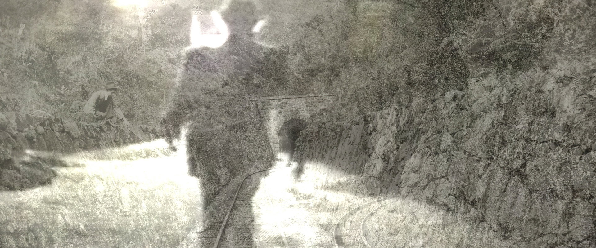 Diálogo Bulbul backdrop