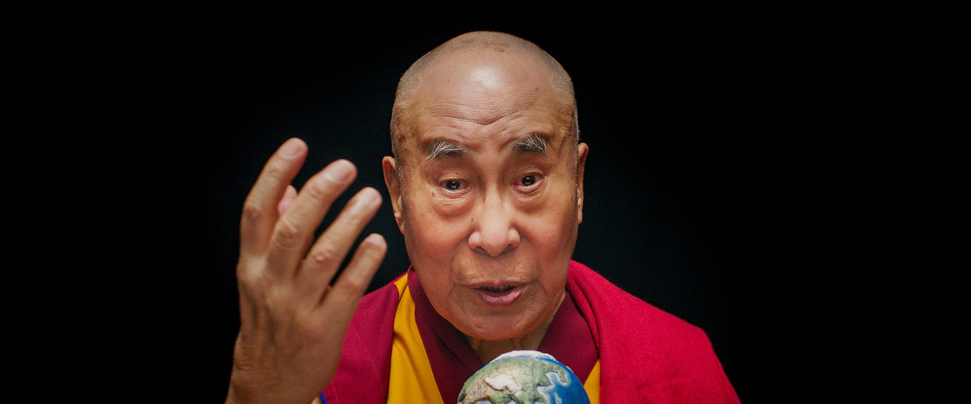 Wisdom of Happiness backdrop