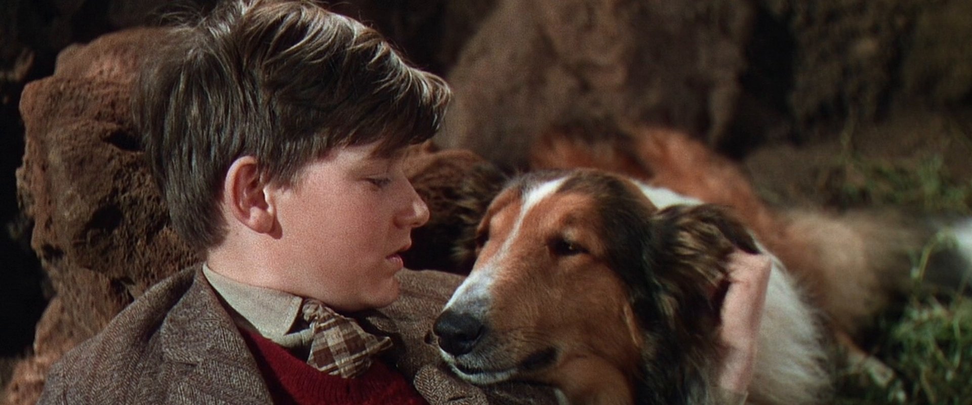 Lassie Come Home backdrop