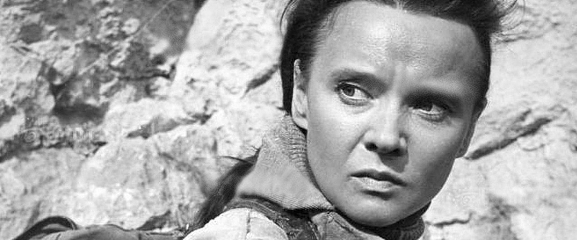 White Explosion backdrop