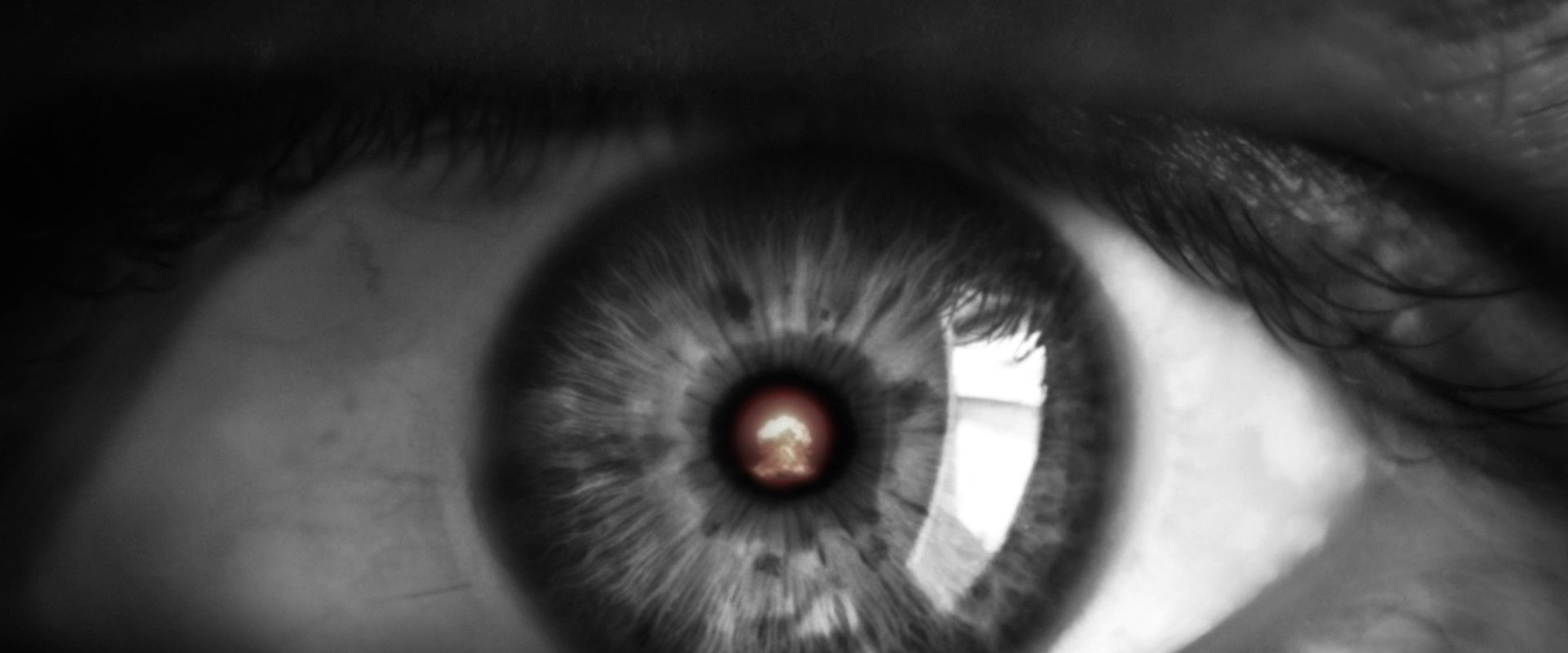 Unto Midnight backdrop