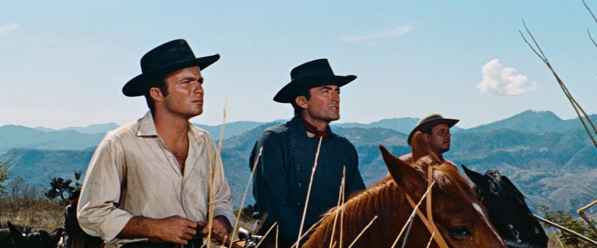 The Bravados backdrop