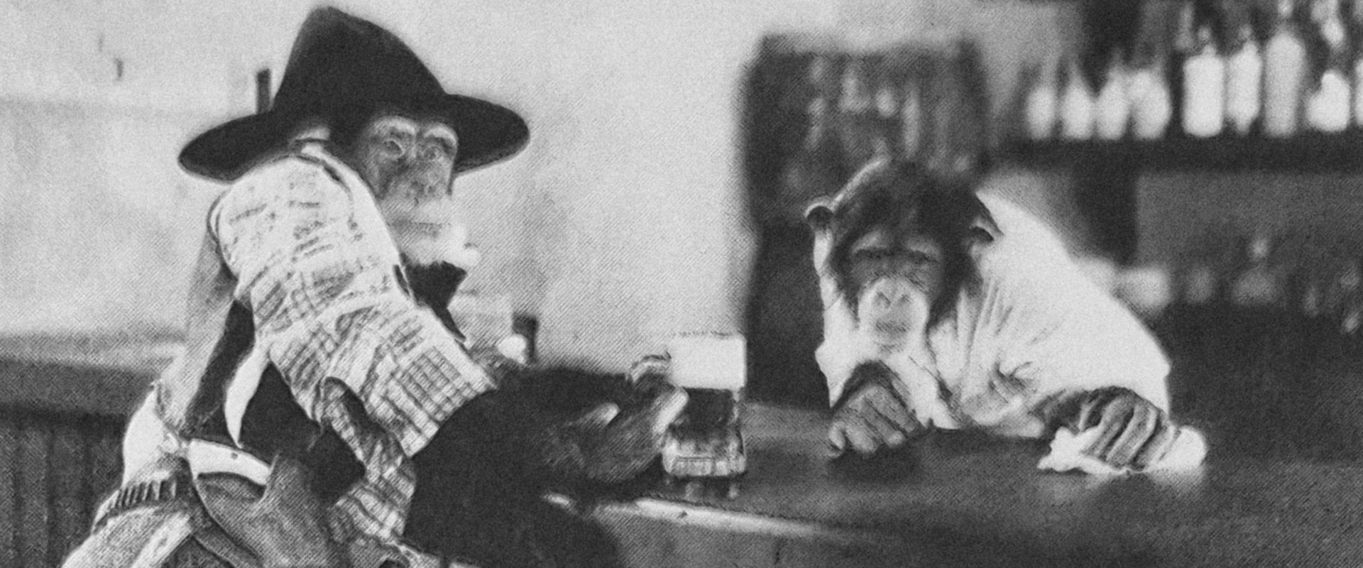 The Little Covered Wagon backdrop