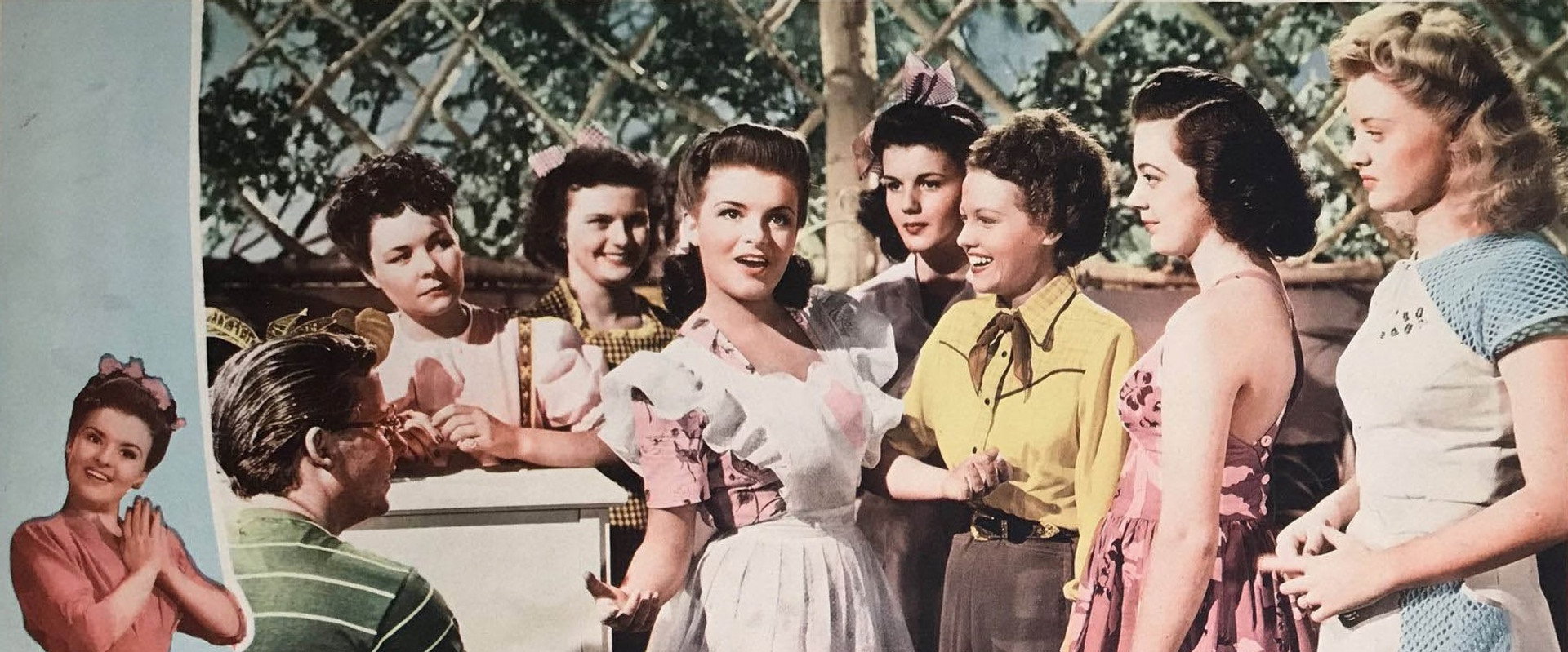 Nobody's Darling backdrop