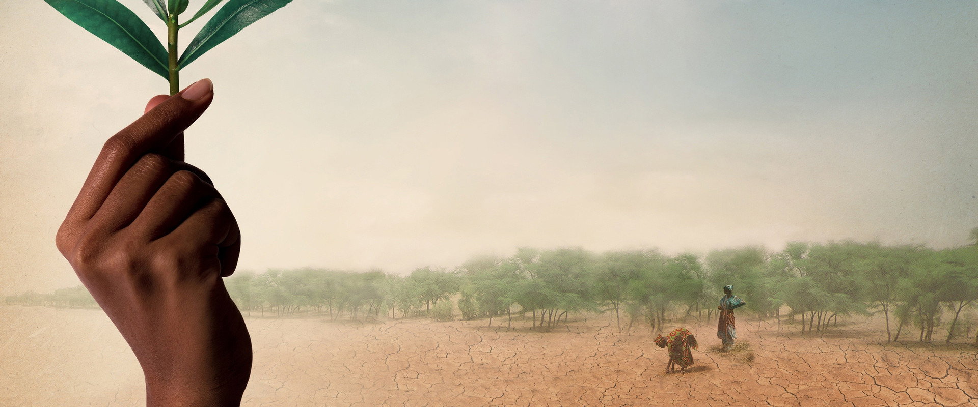 The Great Green Wall backdrop