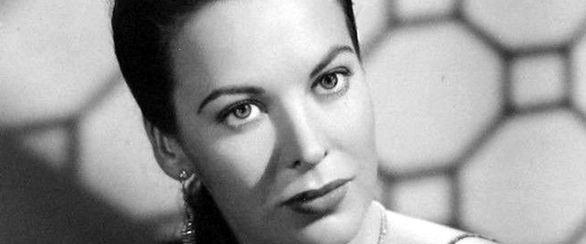 Southside 1-1000 backdrop