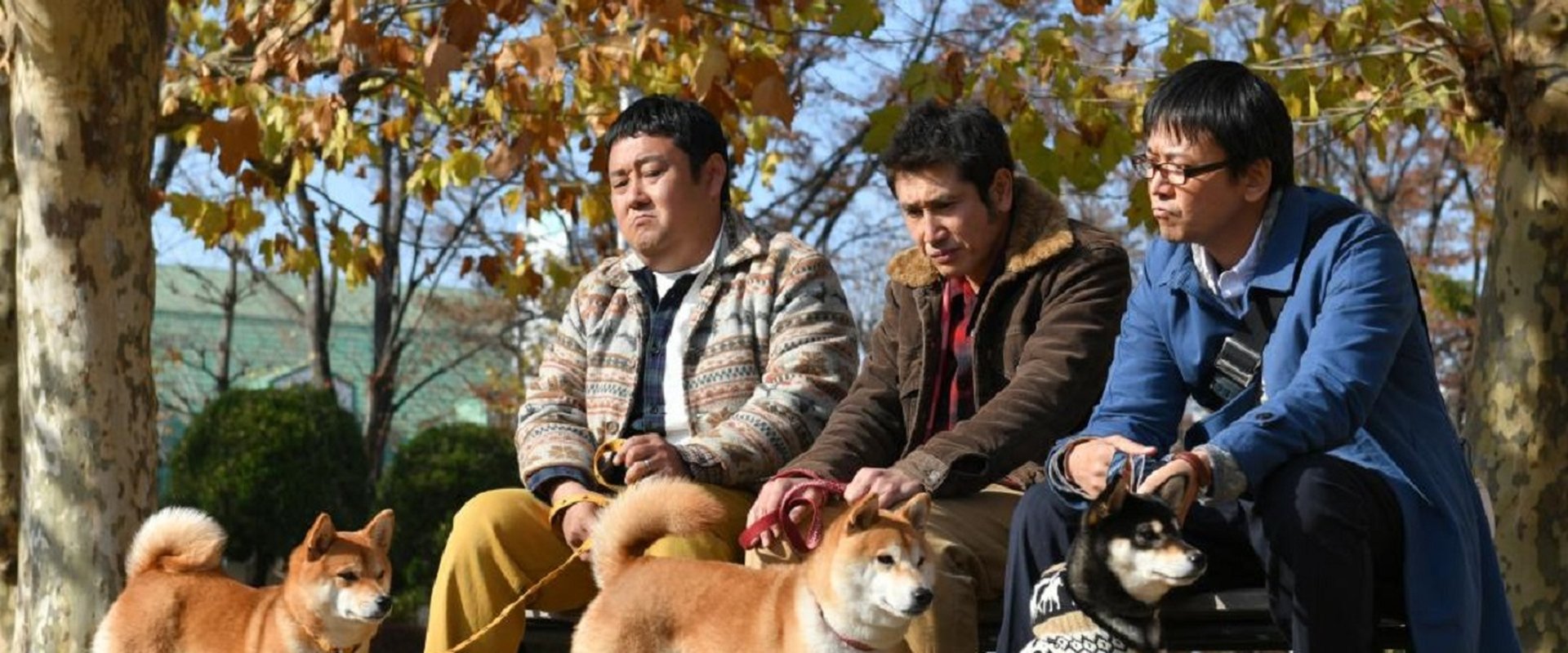 Shiba Park backdrop