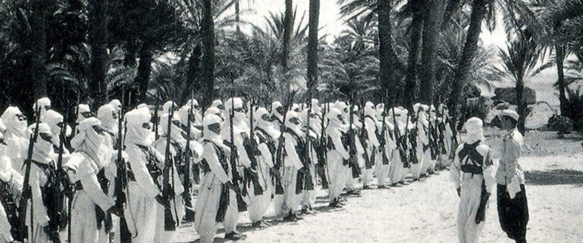 White Squadron backdrop