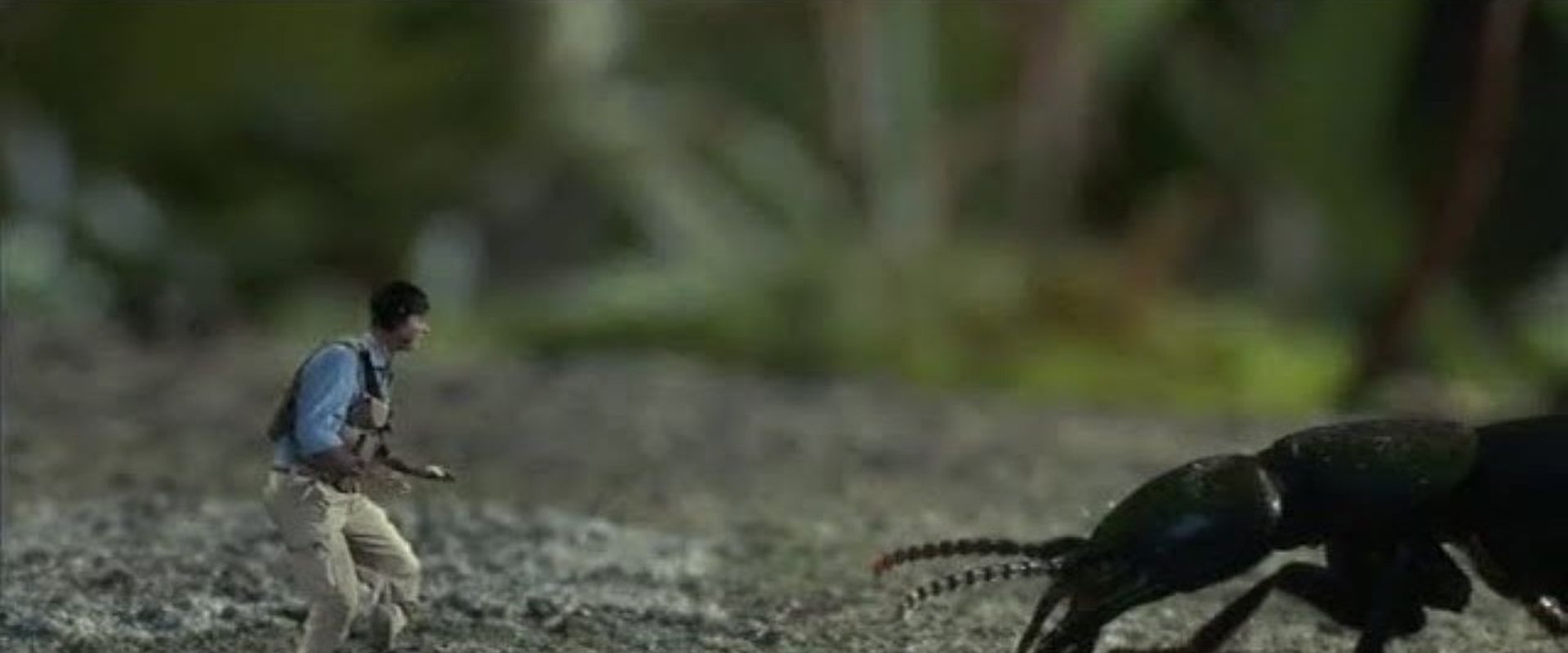 Help! I'm No Bigger Than a Bug