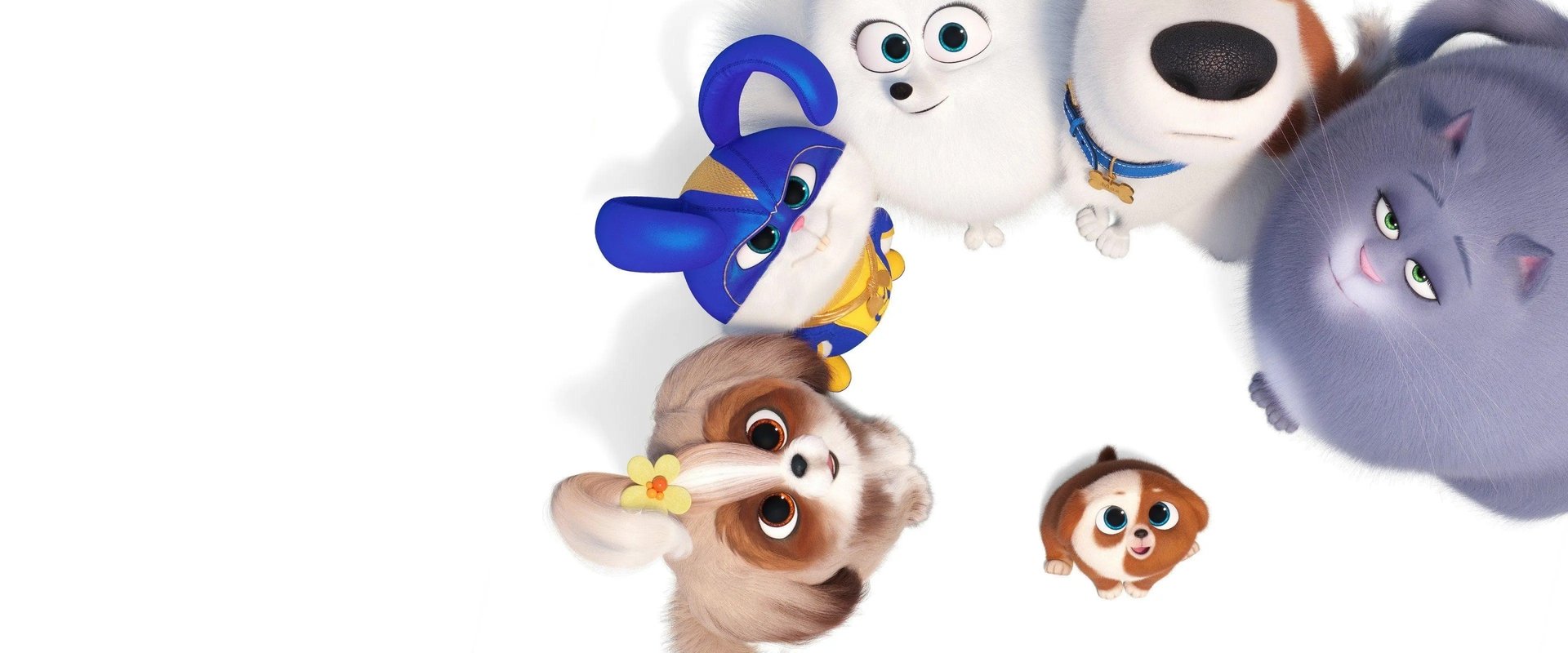 The Secret Life of Pets 2 backdrop