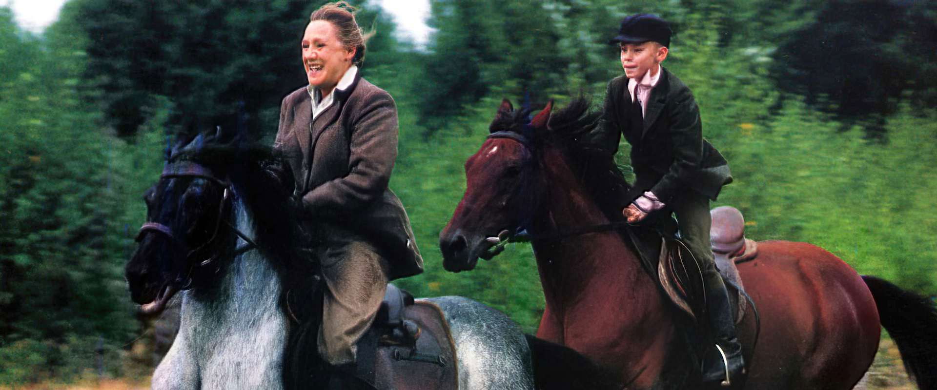 At Full Gallop backdrop