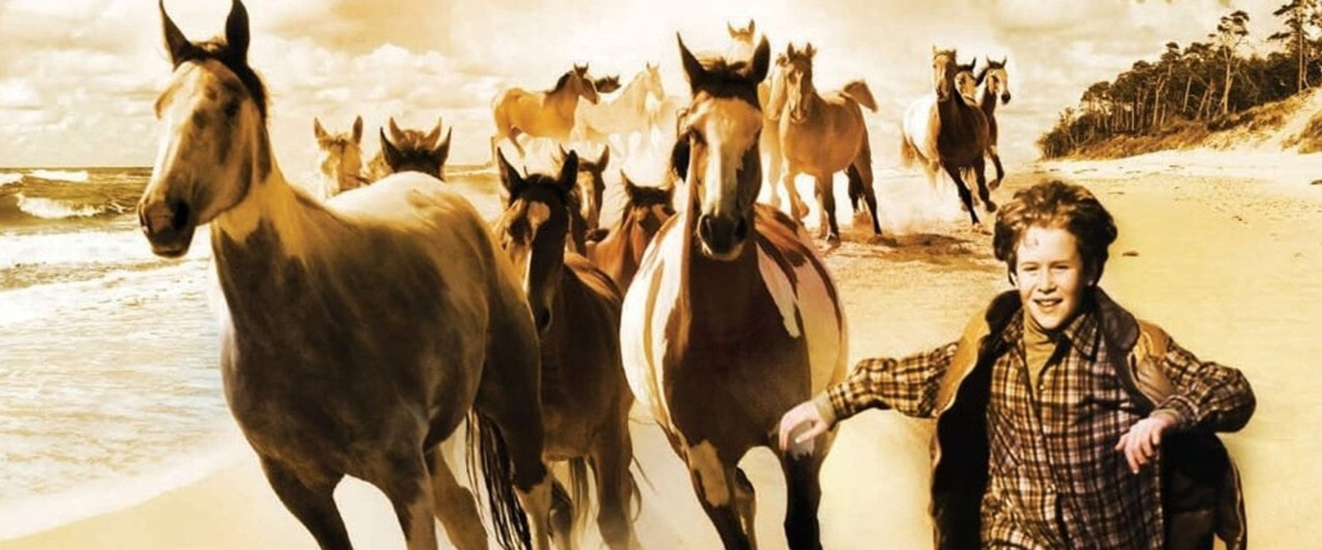 Touching Wild Horses backdrop