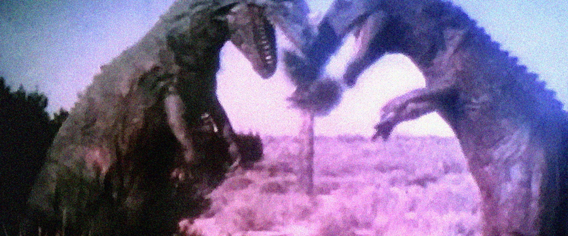 Unknown Island backdrop