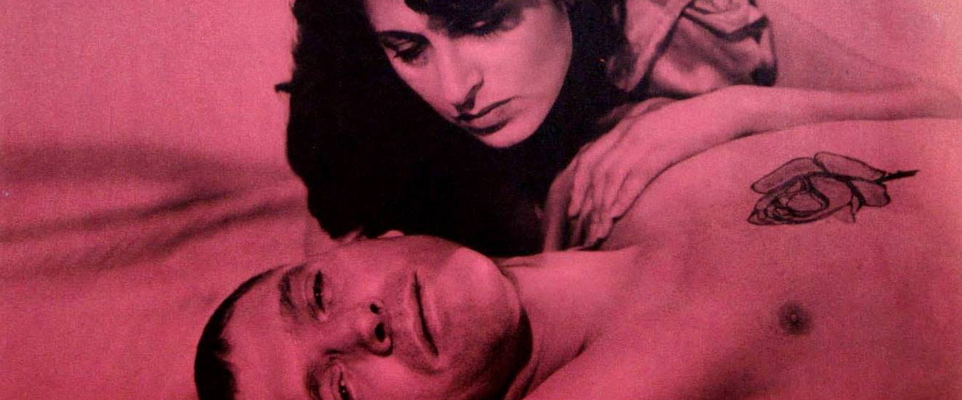 The Rose Tattoo backdrop