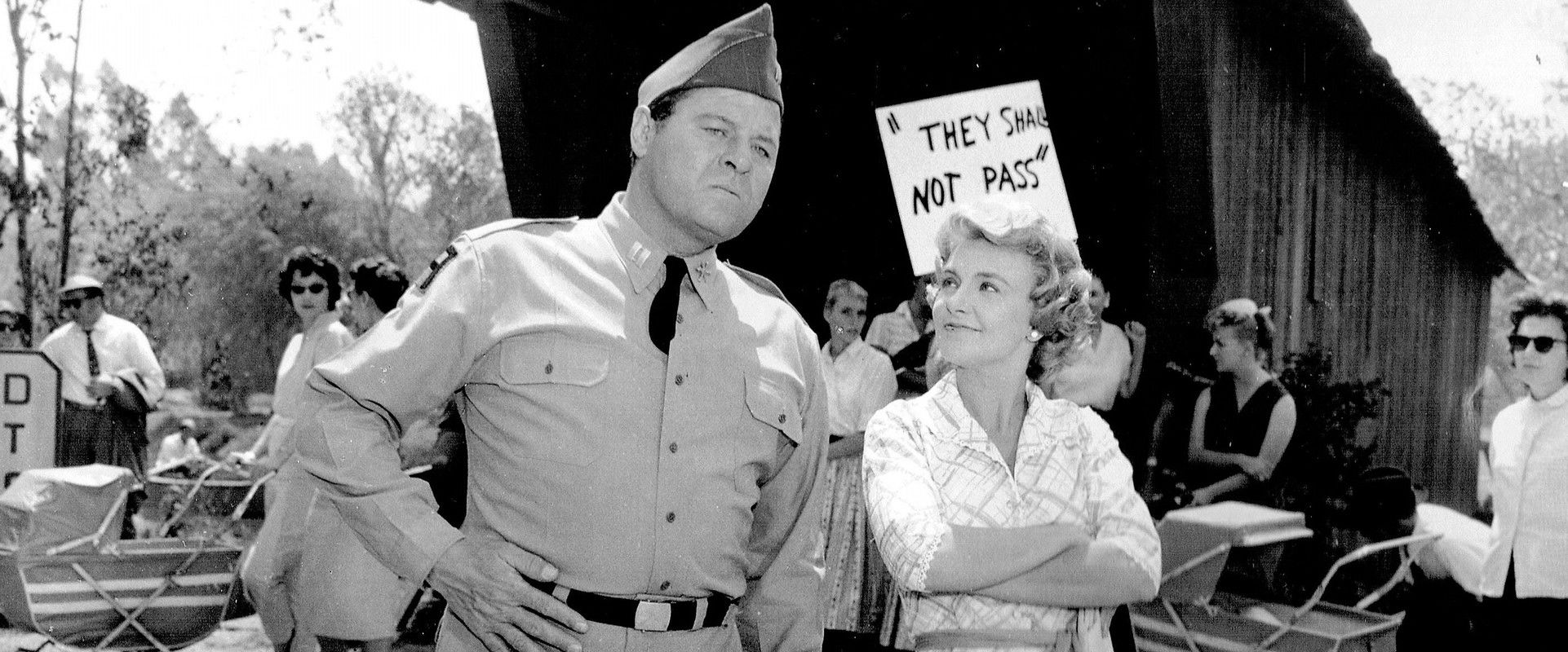 Rally 'Round the Flag, Boys! backdrop