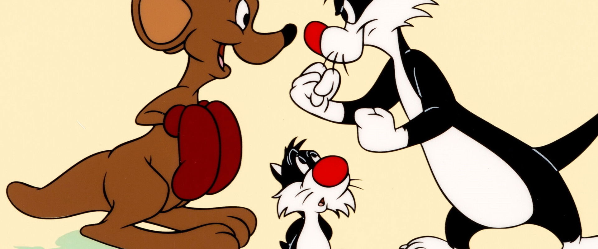 Pop 'im Pop! backdrop