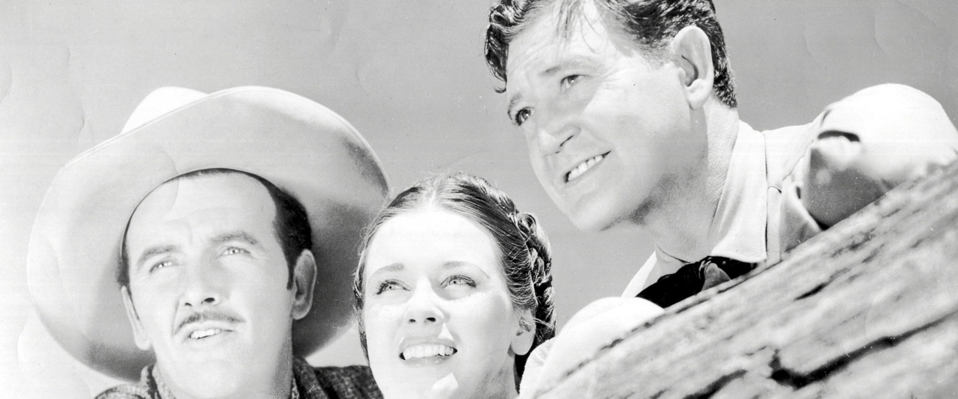 The Roundup backdrop