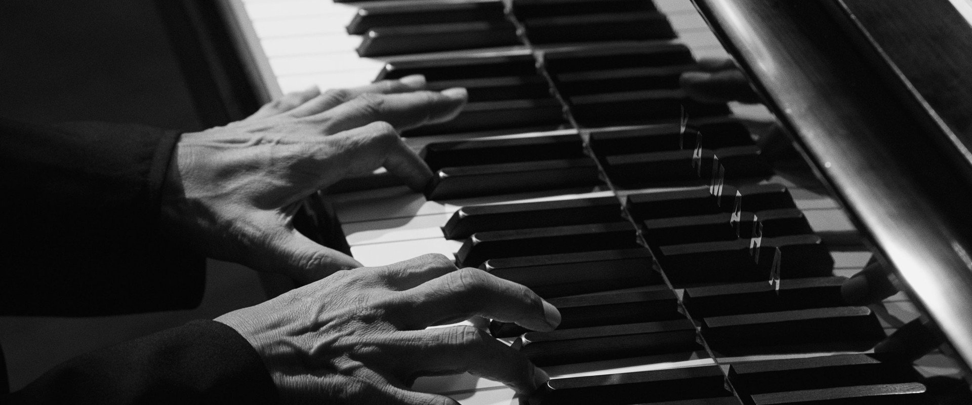 Ryuichi Sakamoto: Opus backdrop