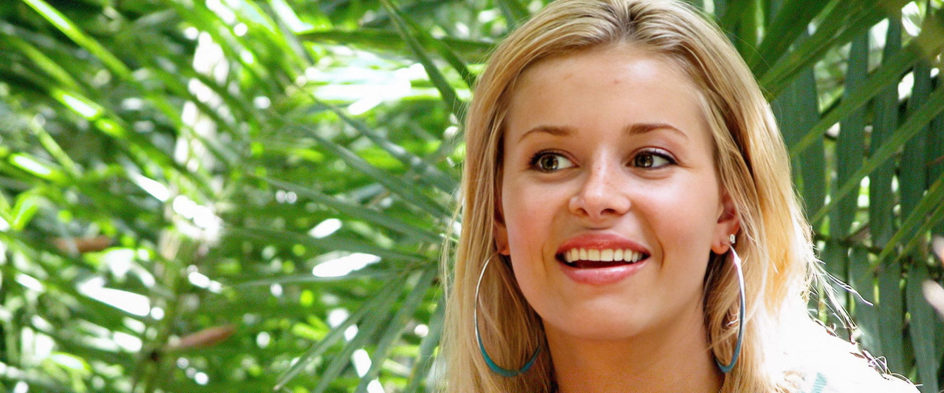 Wild Things: Diamonds in the Rough backdrop