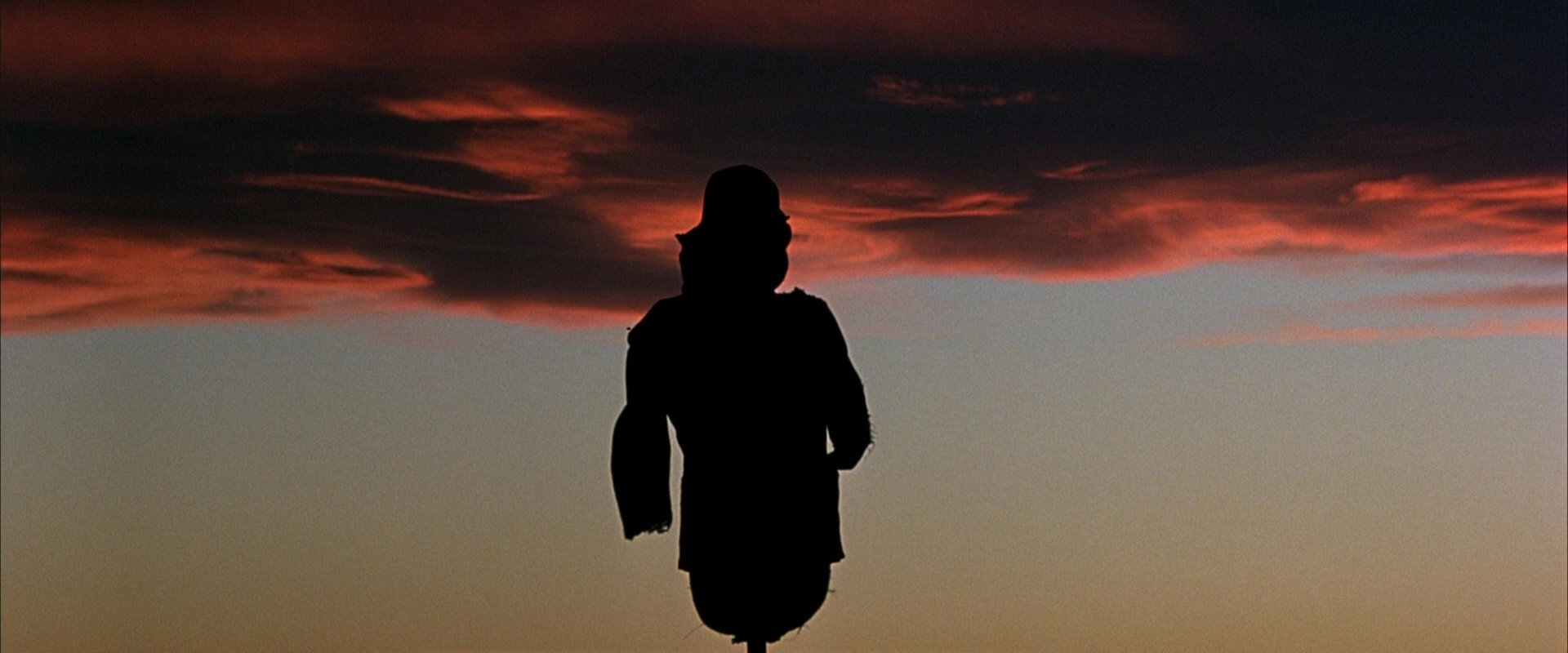Days of Heaven backdrop