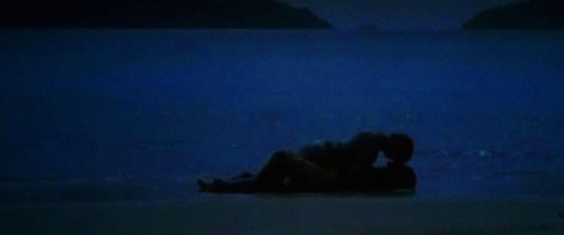 The Dolphin backdrop
