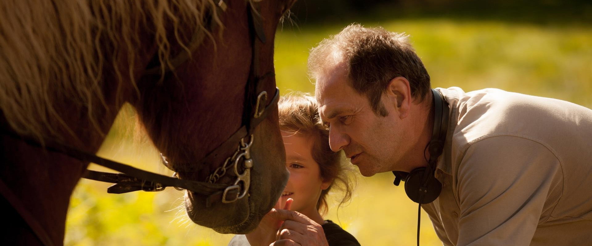 The Scent of Mandarin backdrop