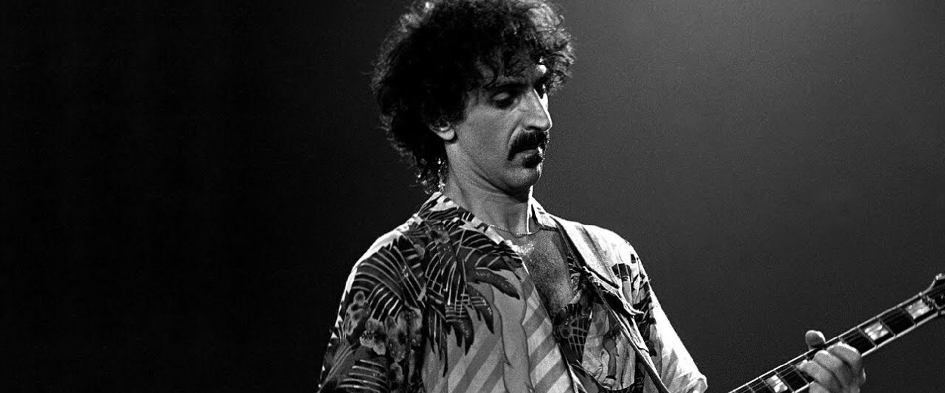Frank Zappa - Live in Paris 1980 backdrop