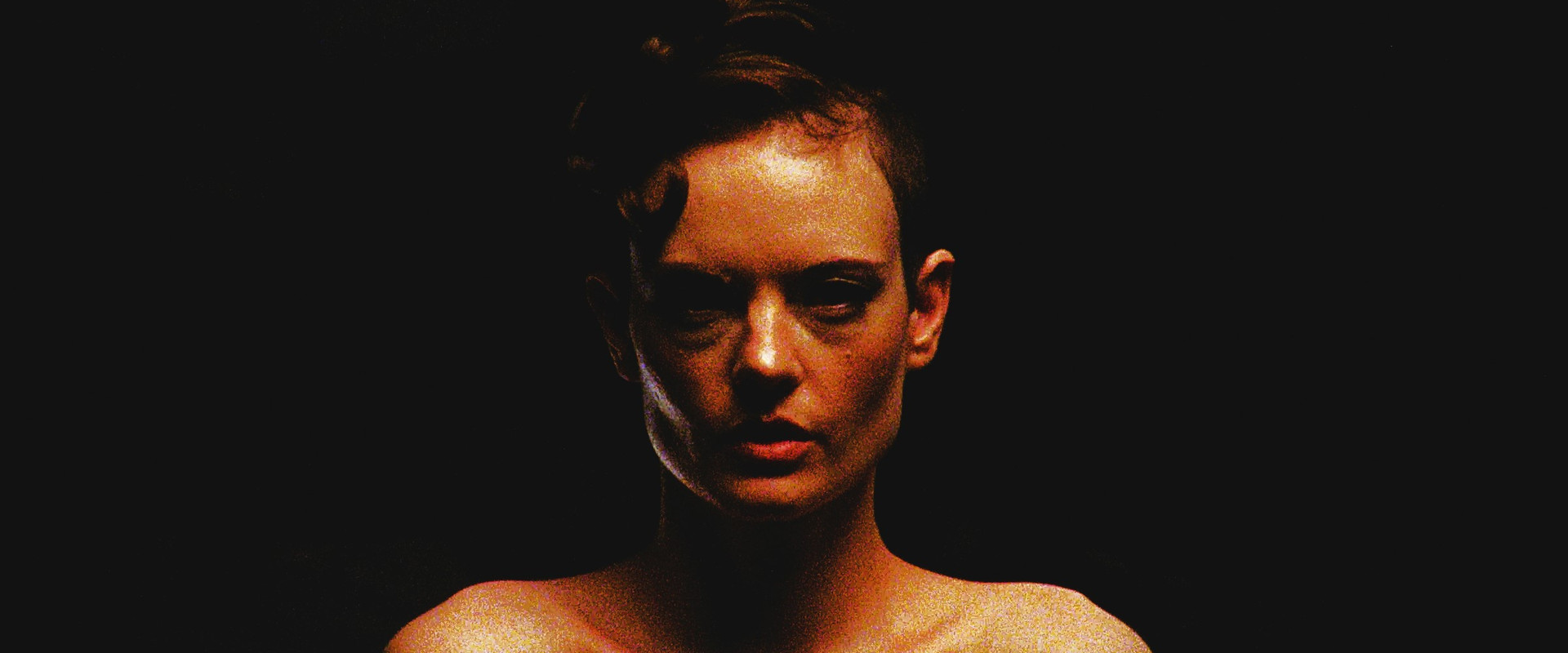 Black Eyed Susan backdrop