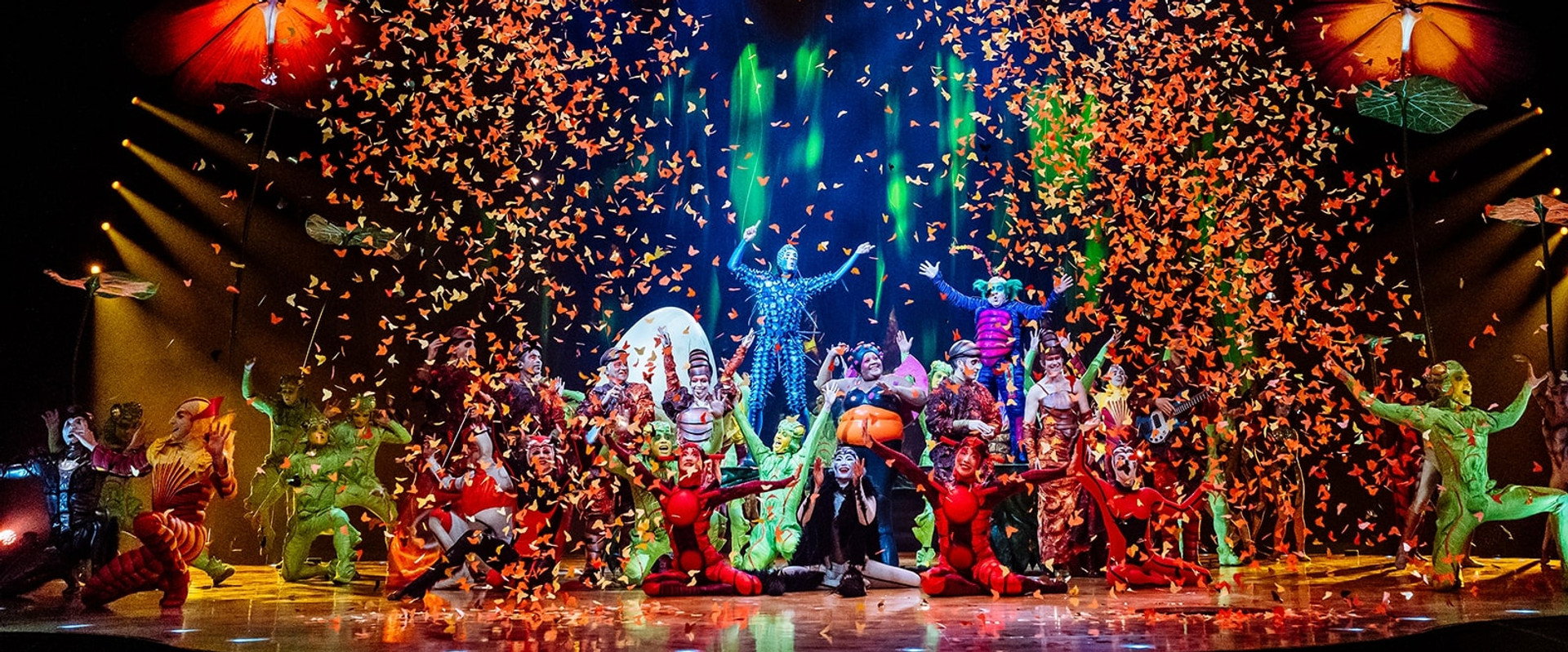 Cirque du Soleil: OvO backdrop
