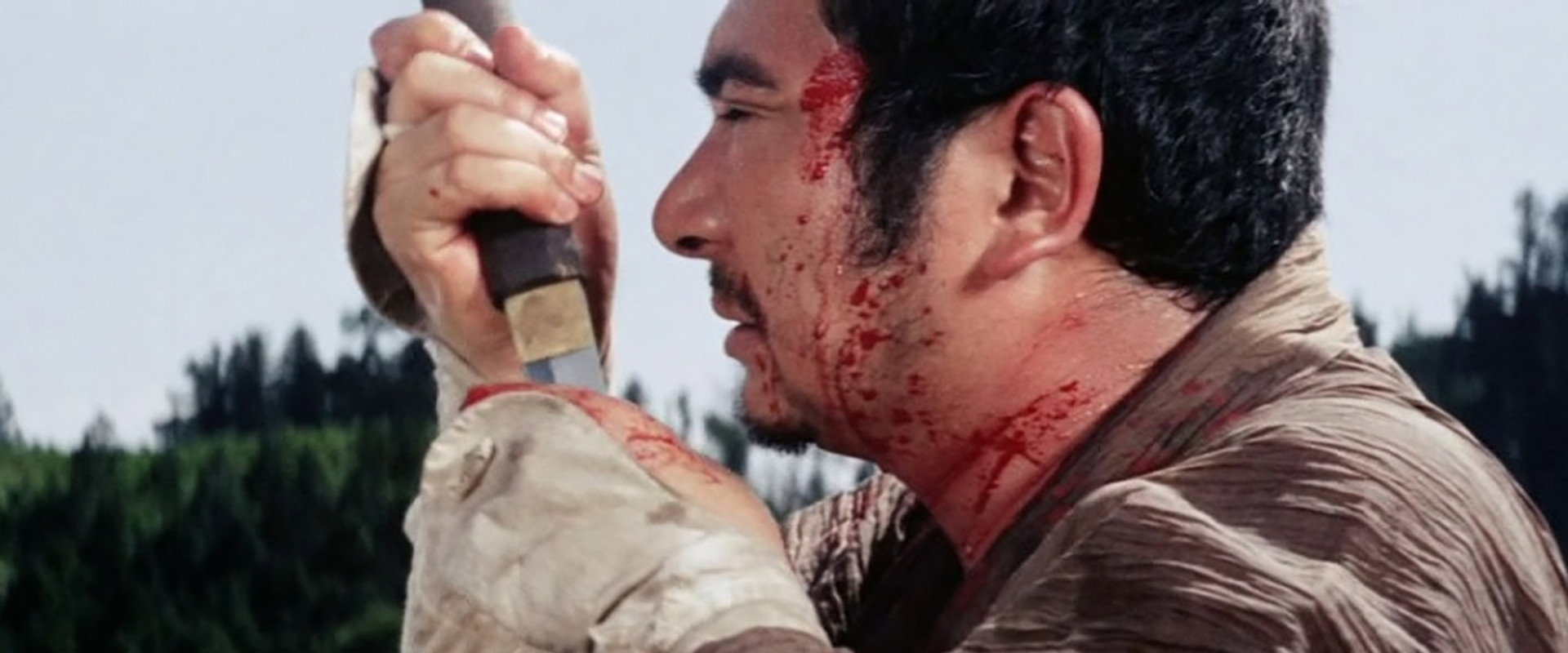 Zatoichi the Outlaw backdrop