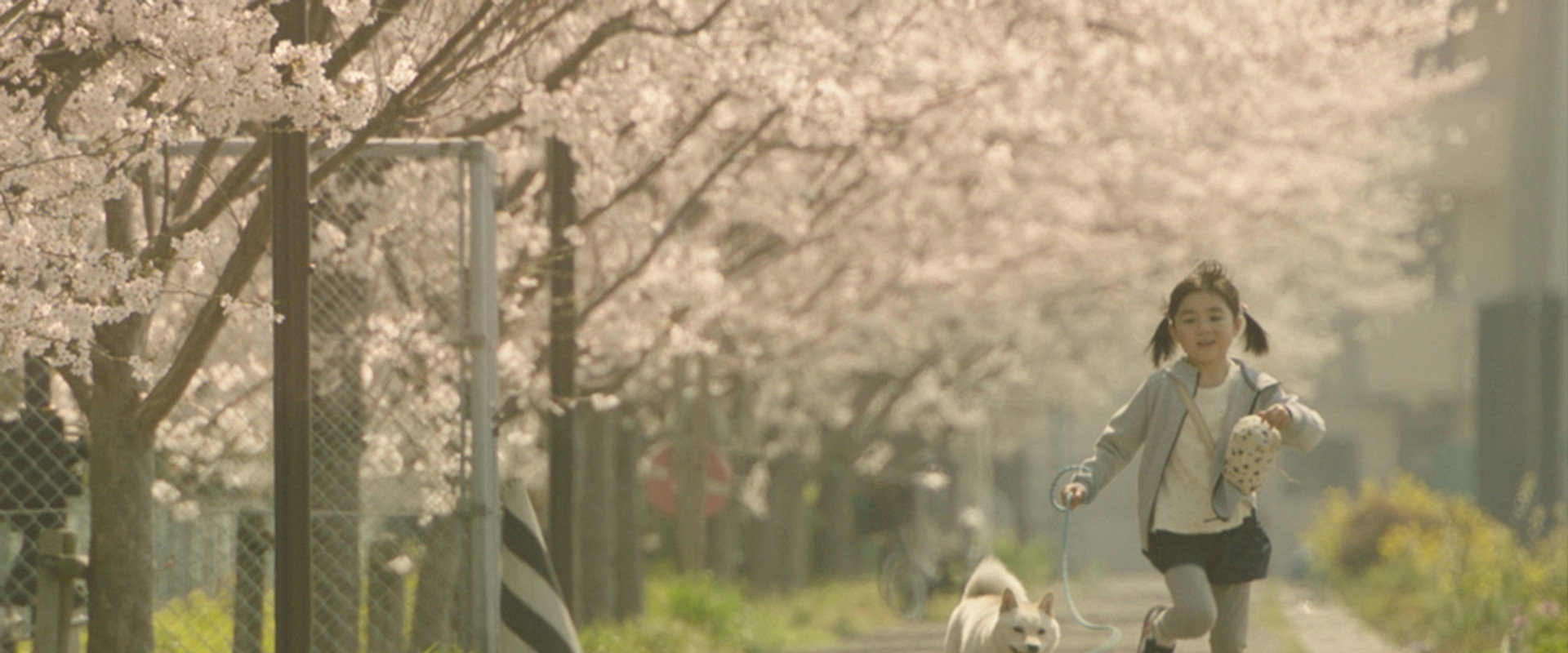 Show Me the Way to the Station backdrop