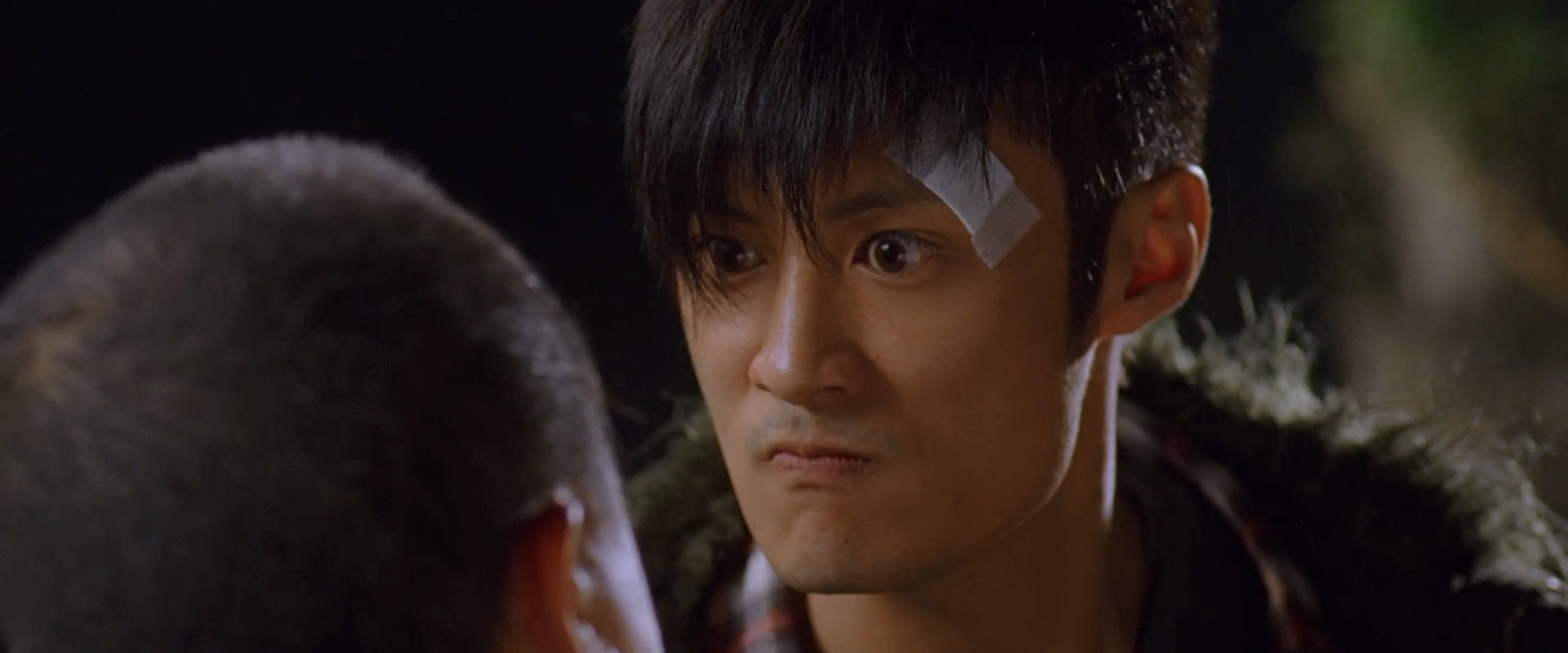 Colour of the Loyalty backdrop