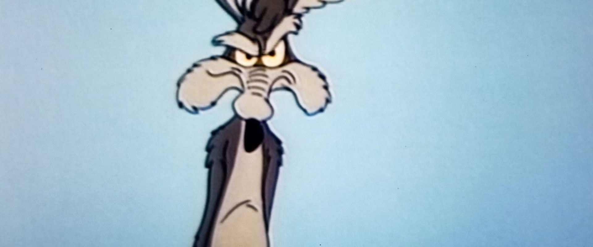 Lickety-Splat backdrop