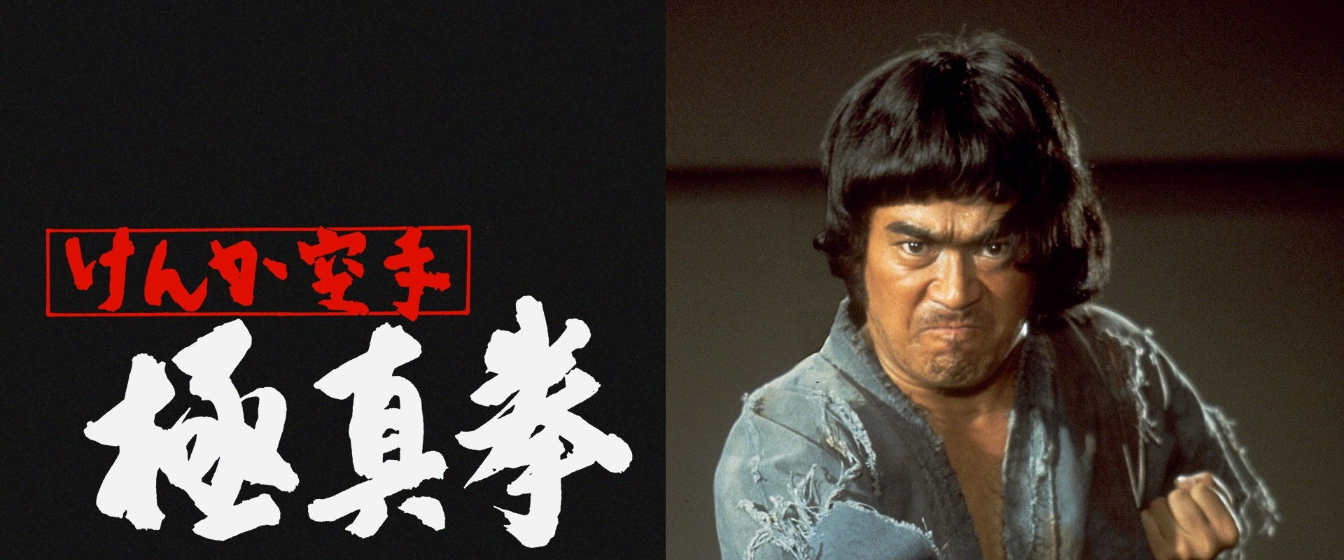 Karate Bullfighter backdrop